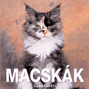 Macskák - mini