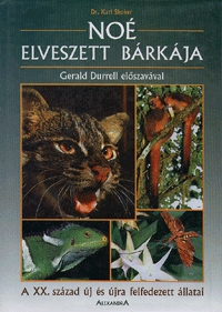 Noé elveszett bárkája
