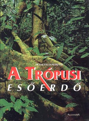 A trópusi esőerdő