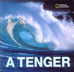 A tenger