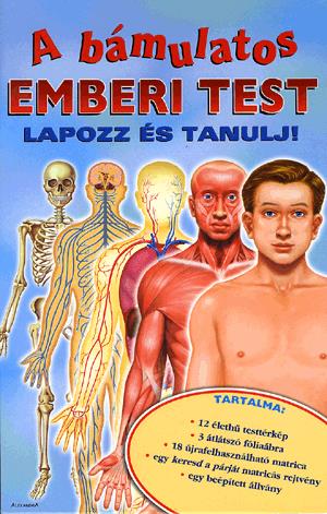 A bámulatos emberi test