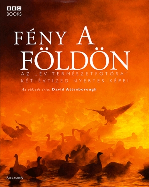 Fény a Földön