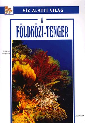 A Földközi-tenger
