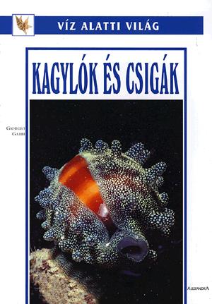 Kagylók és csigák