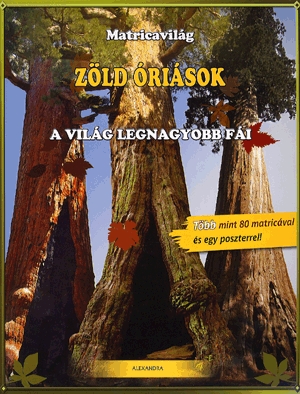 Zöld óriások - A világ legnagyobb fái