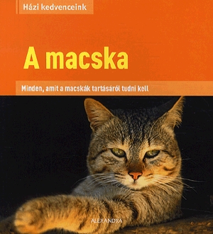 A macska