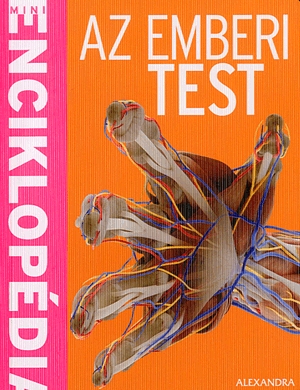 Az emberi test