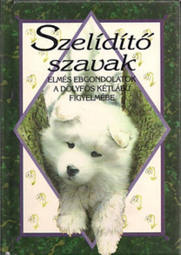 Szelídítő szavak
